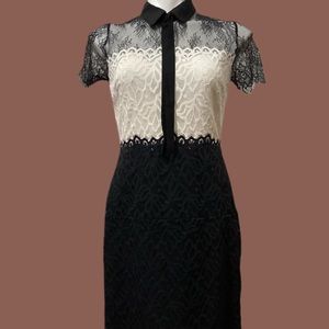 Two-tone Lace Dress